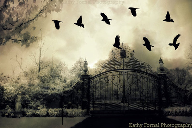 Gothic Surreal Photography, Haunting Surreal Gate & Ravens, Ravens and Crows Gate Wall Prints, Surreal Gate Print, Spooky Gate Ravens Print image 1