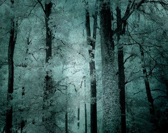 Surreal Nature Photography, Haunting Woods Forest Trees, Mint Teal Woodlands, Dark Green Nature, Surreal Tree Art, Dark Teal Woodlands Print