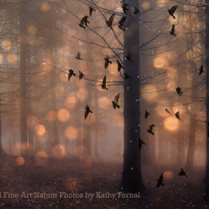 Nature Photography, Surreal Haunting Trees Woodlands, Autumn Fairy Lights Nature, Nature Prints, Fantasy Tree Prints, Fairytale Trees Print