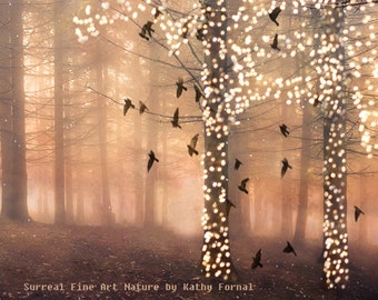 Fairy Lights Trees, Nature Photography, Sparkling Fantasy Woodlands, Fairytale Trees & Birds, Autumn Fall Nature Woodlands, Fairytale Nature