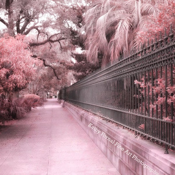 Savannah Photo Prints, Pink Savannah Georgia Nature Photo Landscape Prints, Savannah Architecture Gate Prints, Romantic Savannah Street Art