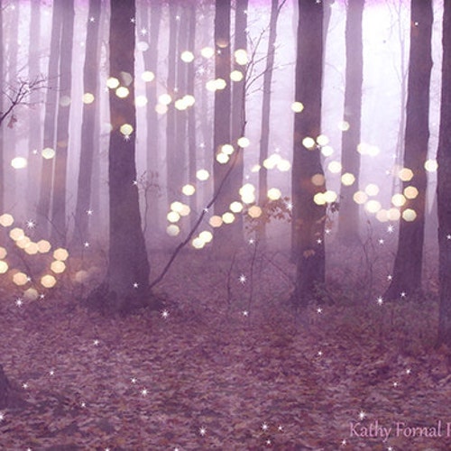 Nature Photography Fantasy Sparkling Fairy Lights Nature - Etsy