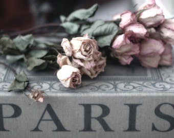 Paris Home Decor, Paris Roses, French Country Decor, Paris Shabby Chic Decor, Paris Books Wall Art Prints, Paris Roses, Paris Books Print