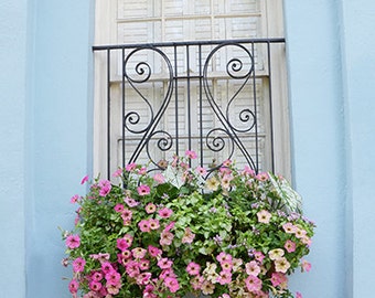 Charleston Photography, Charleston Floral Note Cards, Charleston Aqua Blue, Charleston South Carolina Flower Window Box,Charleston Wall Art