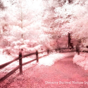 Nature Photography, Dreamy Pink Trees, Baby Girl Nursery Decor, Pink Nature Prints, Fantasy Nature Trees, Pink Fairytale Nature Path Trees