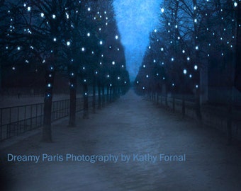 Paris Starry Night, Paris Tuileries, Paris Photography, Paris Stars Fairy Lights, Paris Sparkling Blue Fairy Lights, Paris Tuileries Print