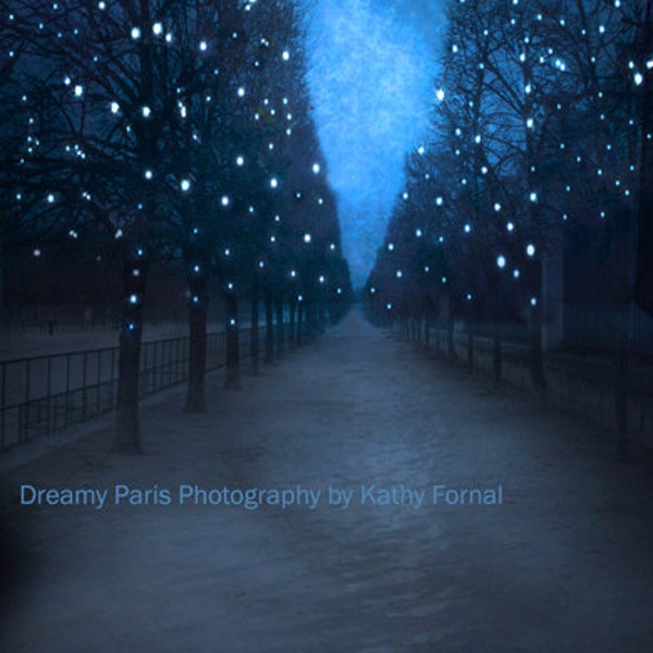 Paris Starry Night, Paris Tuileries, Paris Photography, Paris Stars Fairy Lights, Paris Sparkling Blue Fairy Lights, Paris Tuileries Print