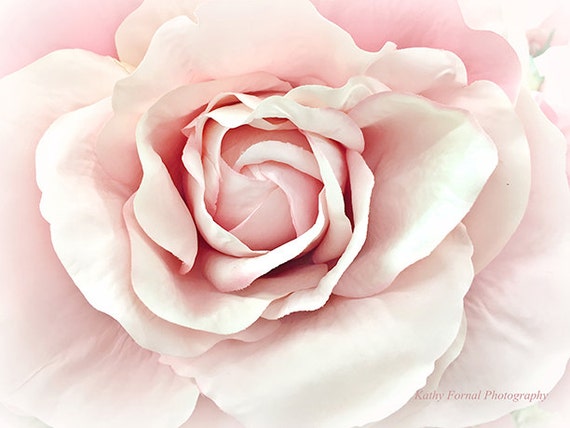 Roses Photography Blush Pink Rose Pink Roses Print Dreamy Etsy