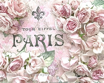 Paris Photography, Paris Roses, Paris Shabby Chic Decor, Paris Typography Art, Paris Wall Art, Paris Pink Roses, Paris Wall Decor, Paris art