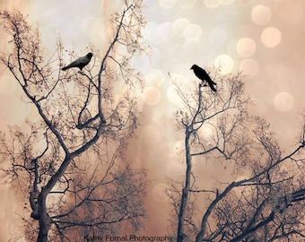 Nature Photography, Surreal Trees Birds Ravens Crows, Gothic Fantasy Nature Trees, Spooky Haunting Eerie Ethereal Nature Ravens Photography