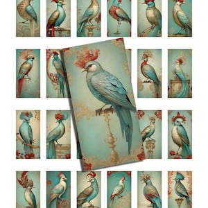 Vintage Ornate Bird Images: Domino Art Collage Sheet (Digital Download)