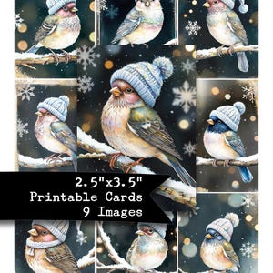 Oiseaux, hiver, oiseaux bleus, ATC, journaux indésirables, scrapbooking, ACEO, cliparts, papier imprimable, éphémères, Noël, neige