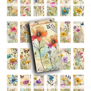 Fleurs sauvages, Domino, 1 x 2, botanique, arrière-plans, clipart, imprimables, étiquettes, journaux indésirables, kit digi, kit digi, washi, fleurs, fleurs