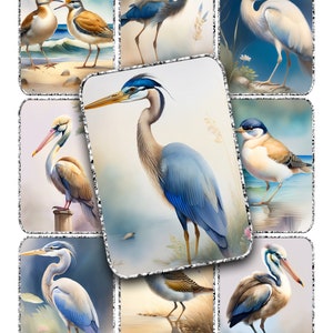 Uccelli acquatici pellicani aironi ATC sfondi per collage tag junk journal 2,5x3,5 pollici stampabile download istantaneo clip art