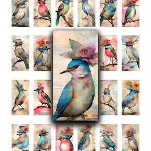 1x2, pássaros, pássaros em chapéus, flores, vintage, clip art, dominó, para impressão, folha de colagem, digital, tiras, cartas de bolso, coisas efêmeras, arte de pássaros