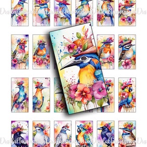 OISEAUX en chapeaux, domino, 1 x 2, aquarelle, graphiques pour journaux, clipart, imprimables, étiquettes, journaux indésirables, oiseaux, washi, ruban adhésif, bandes, publicité
