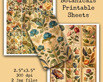 Vintage Botanical Art: Collage ATC Cards (Digital Download)