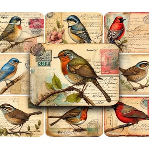 VÖGEL, Postkarten, bedruckbar, digital, Vintage, ATC, ACEO, Vogel Clip Art, Ephemera, Vintage-Postkarte, viktorianisch, Junk Journals, Digi Kit