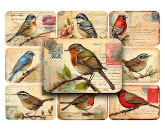 OISEAUX, cartes postales, imprimables, numériques, vintage, ATC, ACEO, clipart oiseau, éphémères, carte postale vintage, victorien, journaux indésirables, kit digi