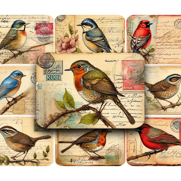 BIRDS, Postcards, Printable, Digital, Vintage, ATC, ACEO, Bird Clip Art, Ephemera, Vintage Postcard, Victorian, Junk Journals, Digi Kit