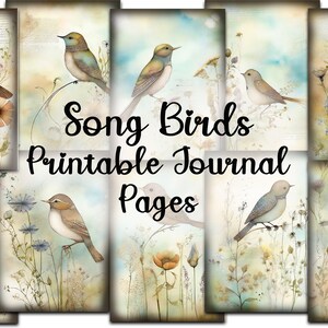 Song Birds Junk Journal: Vintage Style Printable Papers (Digital)