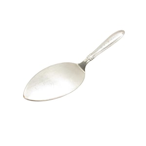 Può includere: Una paletta per torte color argento con una lama ampia e ovale e un manico lungo e sottile. Il manico presenta un motivo floreale decorativo vicino alla lama. La paletta è realizzata in metallo lucido e riflettente, probabilmente acciaio inossidabile, per servire torte e pasticcini.