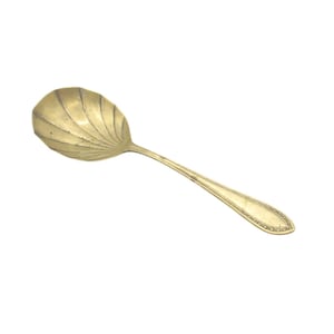 May include: A gold-toned metal spoon featuring a bowl shaped like a scalloped seashell with radiating ridges. The handle is slender and tapers toward the end, which is decorated with a fine, embossed beaded border pattern along the outer edge.