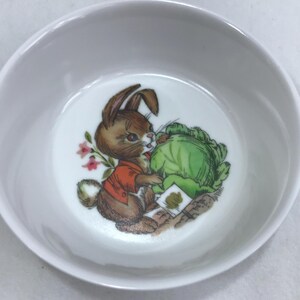 Vintage Childs Oneida Deluxe Peter Rabbit Small Berry Bowl Melmac Melamine Dinnerware
