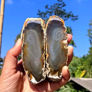 May include: Two polished agate slices featuring concentric bands of translucent grey, white, and amber tones. The stones have irregular, rough, and textured outer edges with a smooth, flat, and glossy interior surface displaying natural mineral patterns.