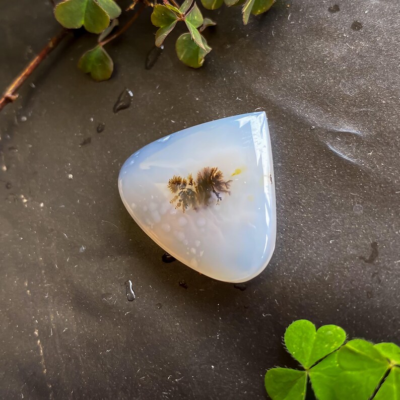Shazar Scenic Dendrite Agate Cabochon Natural Dendritic Agate Gemstone for jewelry