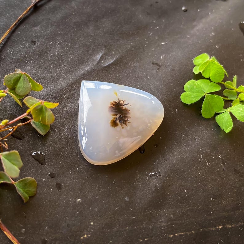 Shazar Scenic Dendrite Agate Cabochon Natural Dendritic Agate Gemstone for jewelry