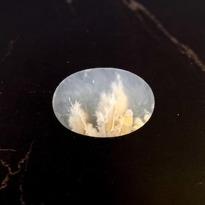 plume agate cabochon