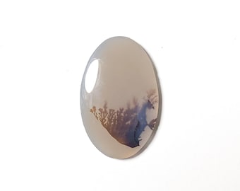 Shazar Scenic Dendrite Agate Cabochon Natural Dendritic Agate Gemstone for jewelry