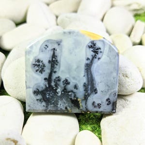 Puede incluir: Una piedra pulida, rectangular con una parte superior redondeada. La piedra presenta una base gris pálido y blanca con patrones negros en forma de árbol. Se encuentra sobre un fondo de guijarros blancos y musgo verde.