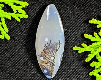 Dendritic Agate Cabochon 30x11x5 mm | Natural Plume Agate Marquise Cut | Unique Landscape Stone for Pendant