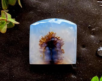 AAA Quality Scenic Dendritic Agate Cabochon | Natural Landscape Gemstone | 19 x 18 x 4 mm