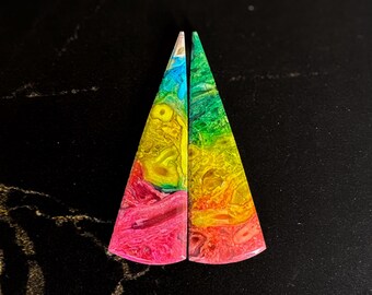 Rainbow Fossilized Palmroot Earrings: Agate & Malachite Gemstone Pair