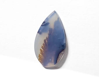 May include: A teardrop-shaped agate cabochon with a dendritic pattern in shades of blue, white, and brown.