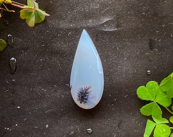May include: A teardrop-shaped, pale blue gemstone with a dendritic inclusion resembling a small tree. The stone has a polished surface and is set against a dark background. Green leaves and water droplets are in the background.