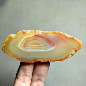 Fetta di agata a bande naturale, lastra di agata occhio, fetta di agata lucida, esemplare di cristallo da collezione, pietra da esposizione, 67 x 25 mm, 1 pezzo