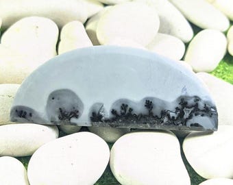 Jasper maligano cabochon 23 x58x5 mm