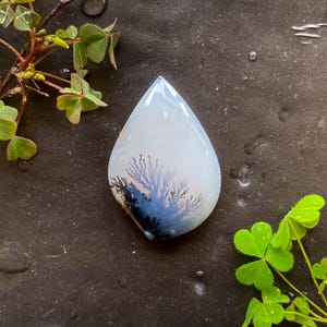 Scenic Dendritic Agate Cabochon: AAA Grade Gemstone for Jewelry