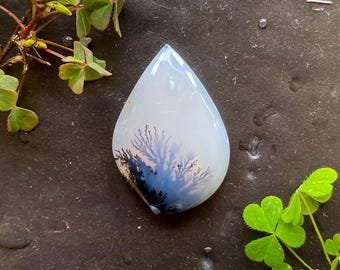 May include: A teardrop-shaped gemstone with a white and blue dendritic pattern resembling a tree or landscape. The stone has a polished surface and is set against a dark background. Green leaves and stems are in the background.