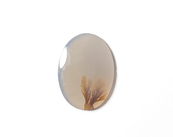 Shazar Scenic Dendrite Agate Cabochon Natural Dendritic Agate Gemstone for jewelry