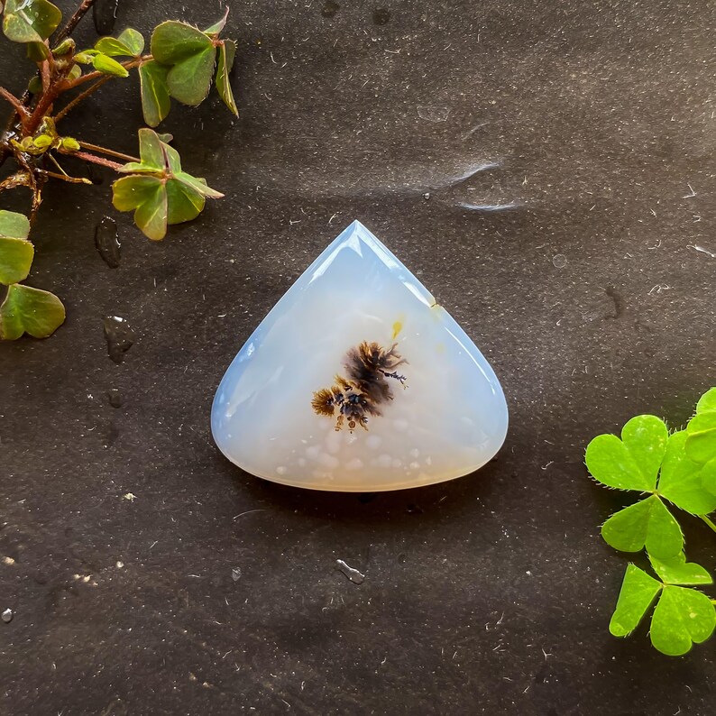 Shazar Scenic Dendrite Agate Cabochon Natural Dendritic Agate Gemstone for jewelry