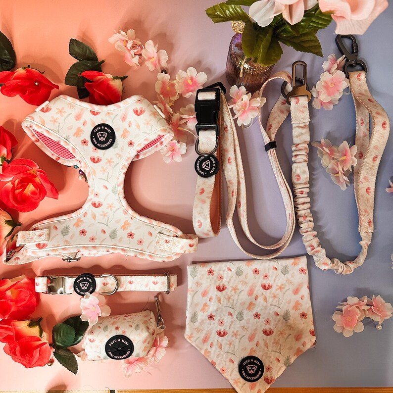 Puede incluir: Un conjunto de accesorios para perros con estampado floral. El conjunto incluye un arn&eacute;s, un collar, una correa y una bandana. Los accesorios son blancos con flores rosas y rojas y hojas verdes. Los accesorios est&aacute;n sobre un fondo rosa y morado con flores rosas.