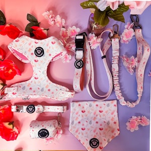 Dog Harness Set - Pink Floral Design with Collar Hands-Free Multifunctional Leash and Poop Bag Holder for Comfort & Control