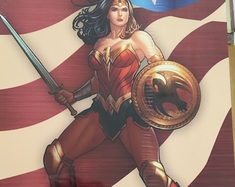 Wonder Woman, Movie, metal sign, 12 x 16, USA VWW2056