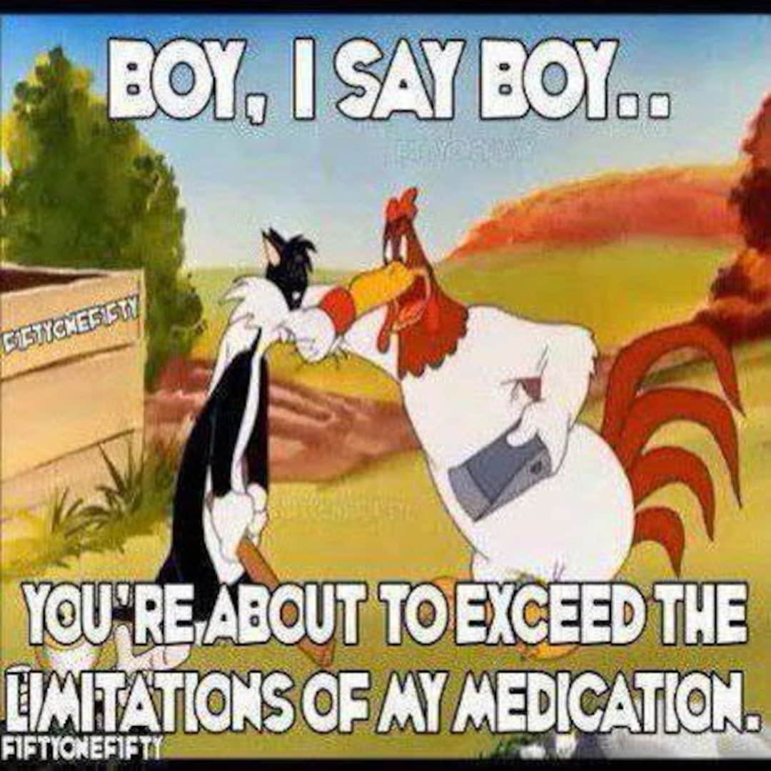 Tshirt, Foghorn Leghorn, Boy, I Say Boy, Adult Sizes, 100 Cotton