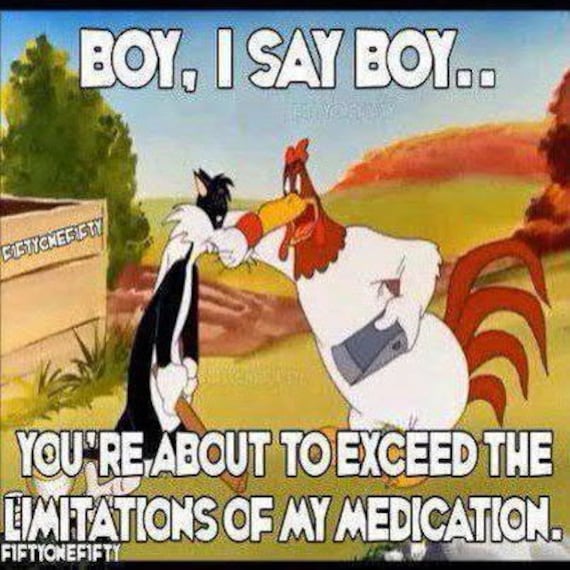 T shirt Foghorn Leghorn Boy I Say Boy Adult Sizes 100 Cotton